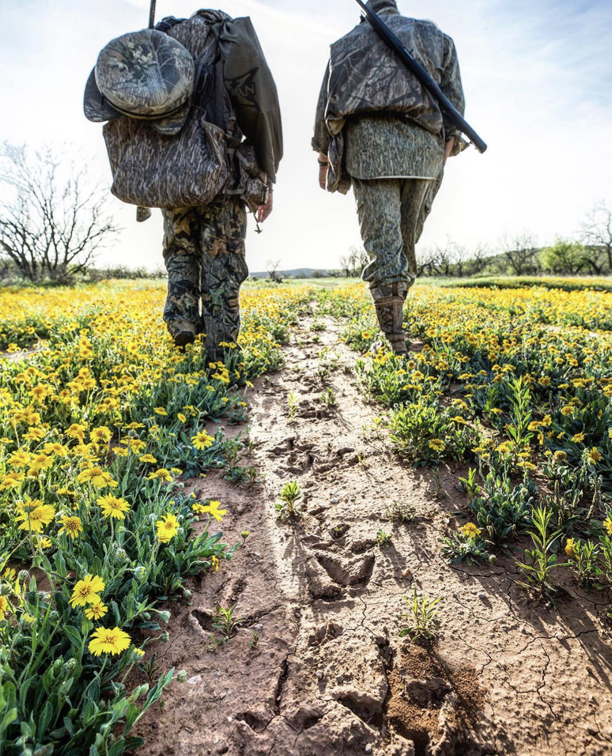 Two men following a trial of fresh turkey tracks Atterbury-Muscatatuck wild turkey 101 turkey hunt turkey gun sight