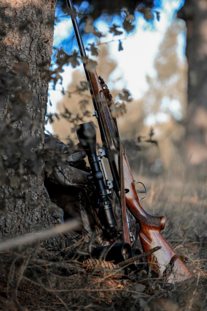 Hunting rifle leaning against tree on the ground. hunting expos