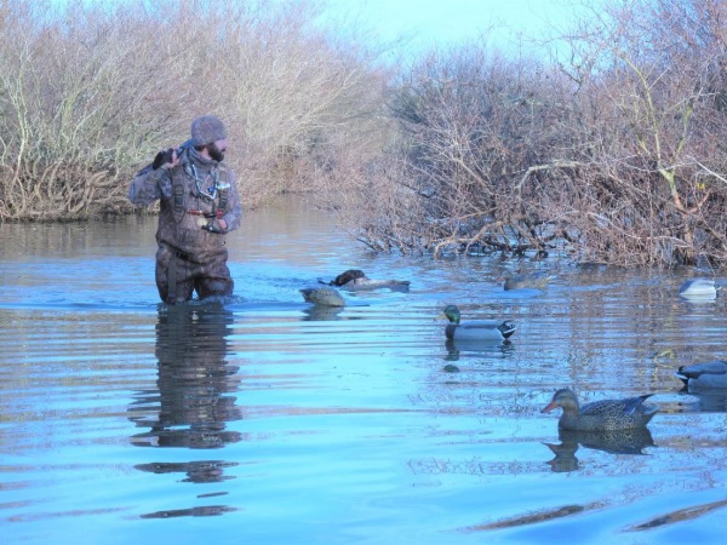 Hunter wading through shallow water while ducks swim. DRYSHOD MUDCAT WORK BOOTS