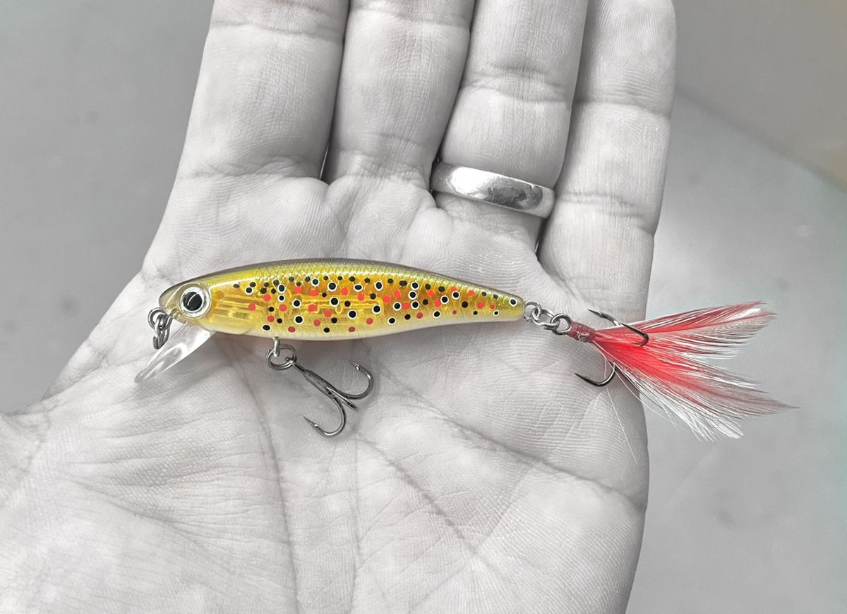 The HD Trout bait from Dynamic Lures 
