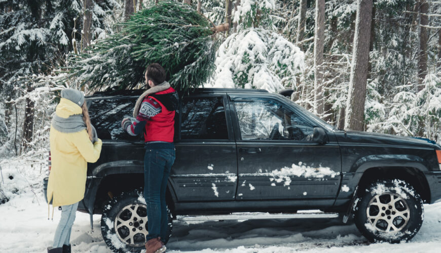 Cut Your Own Christmas Tree With iSportsman