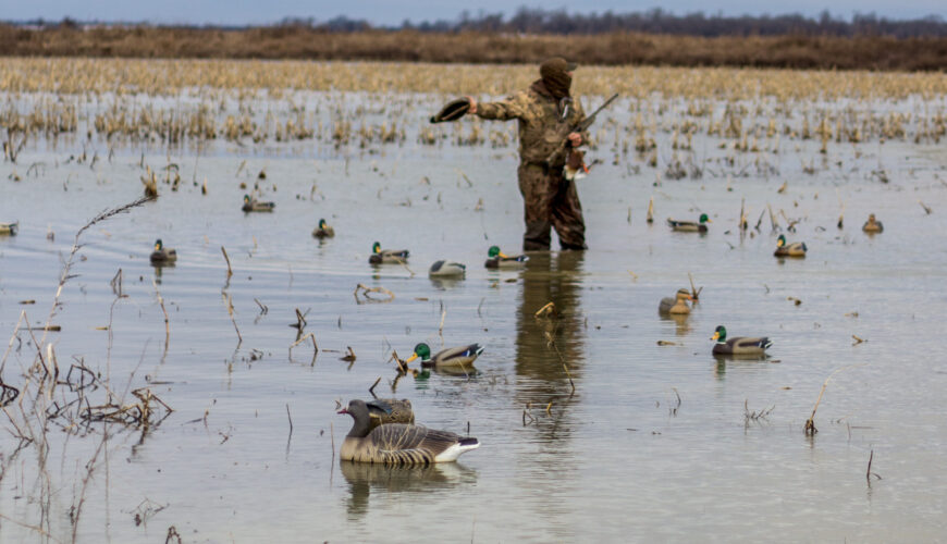 Best duck hunting waders deals