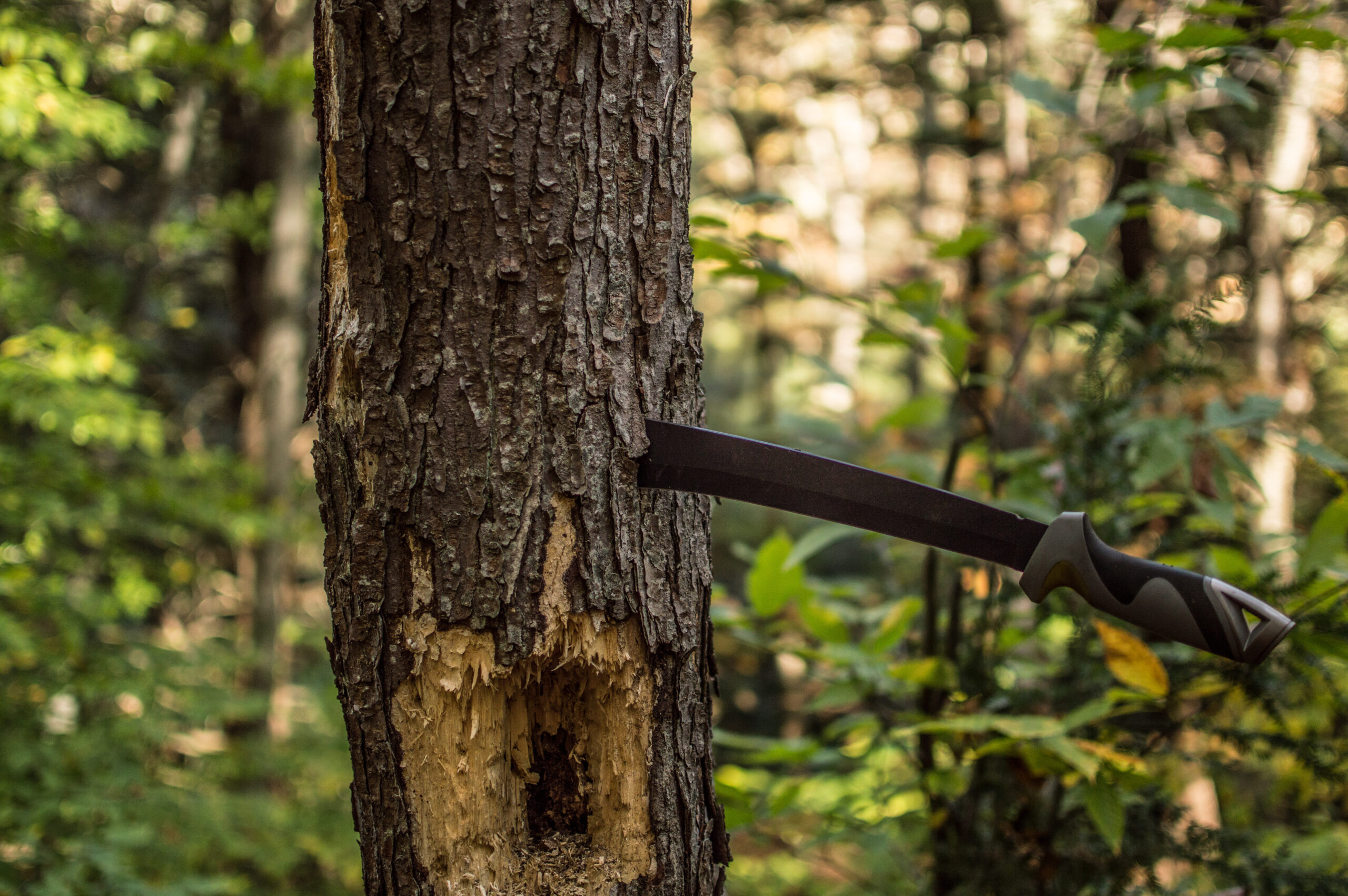 machetes Must Have Tools: Wicked Tree Gear