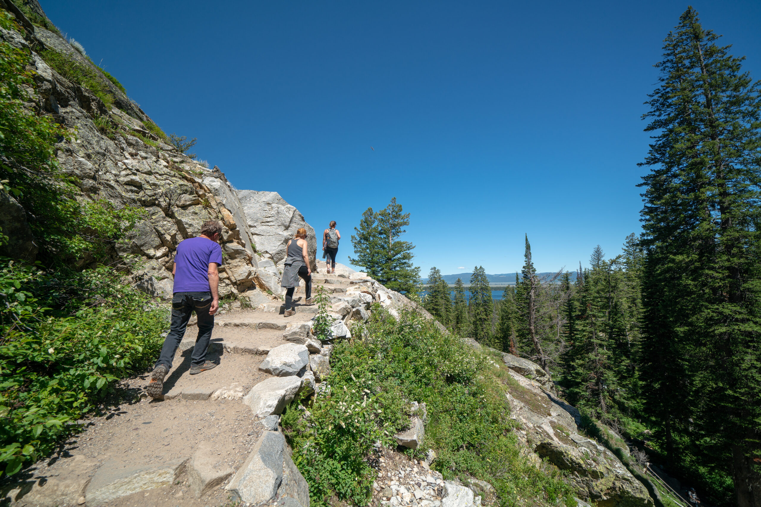 Colter Bay campground