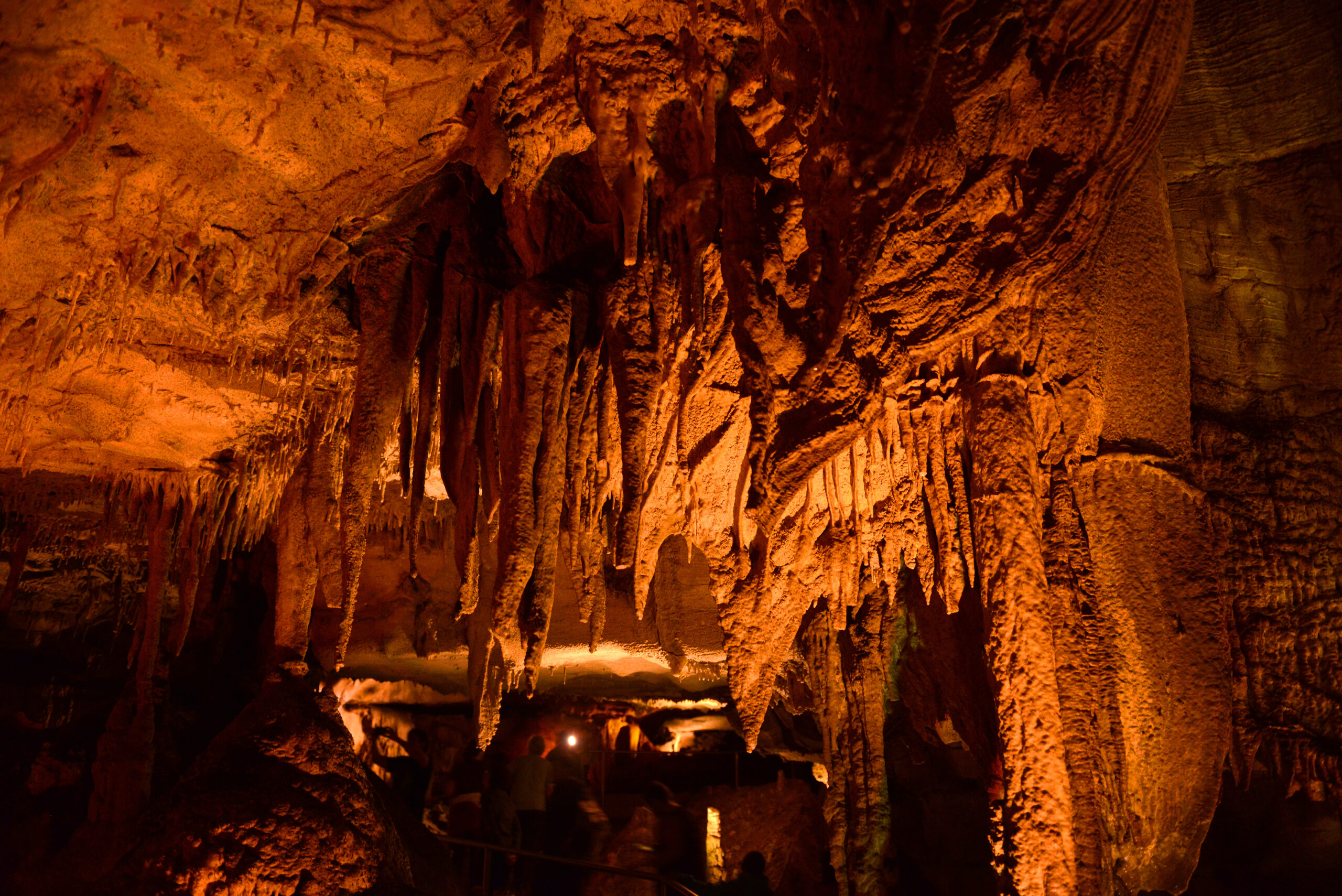 Mammoth Cave