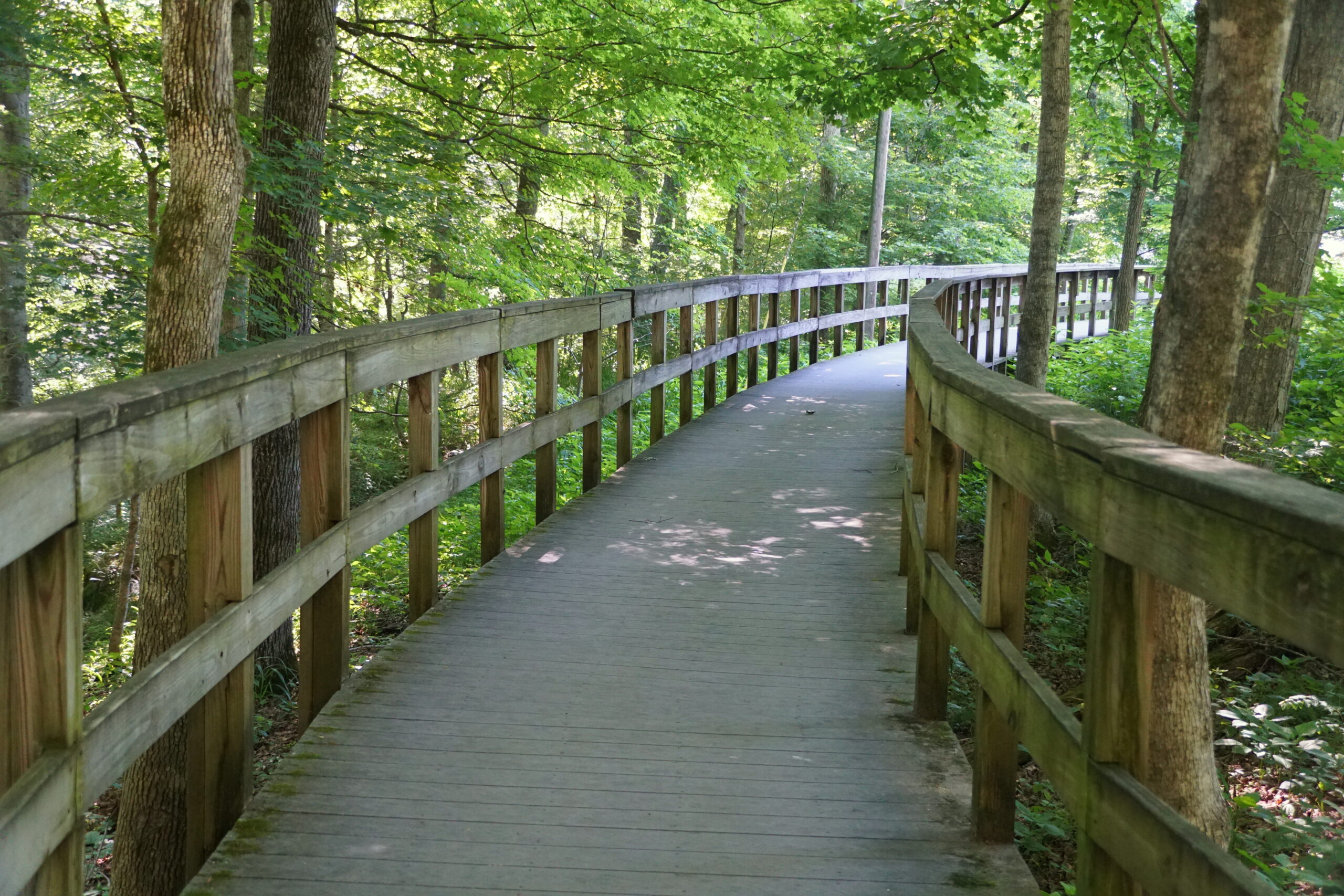 Mammoth Cave Fort Campbell