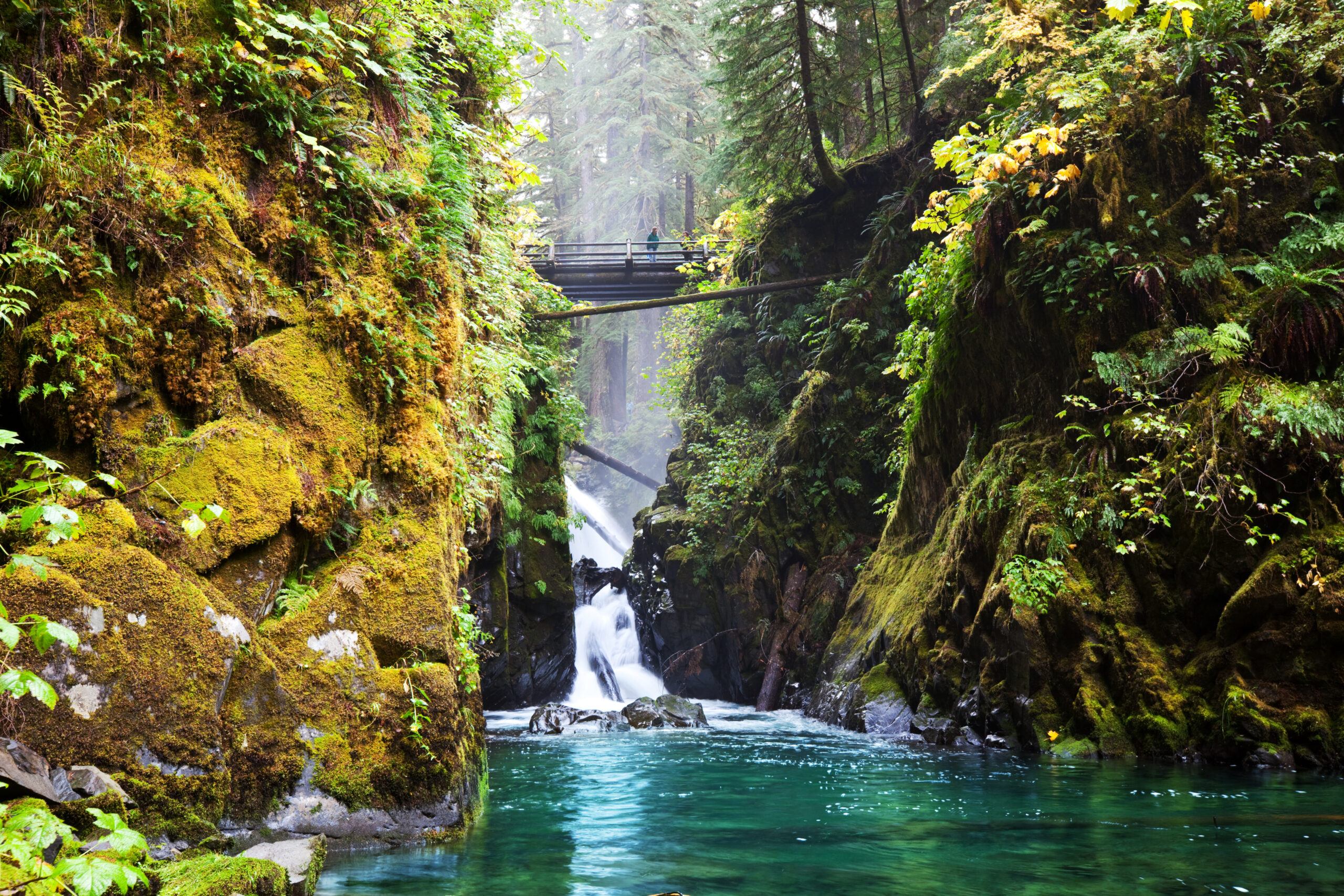 Olympic National Park best hikes