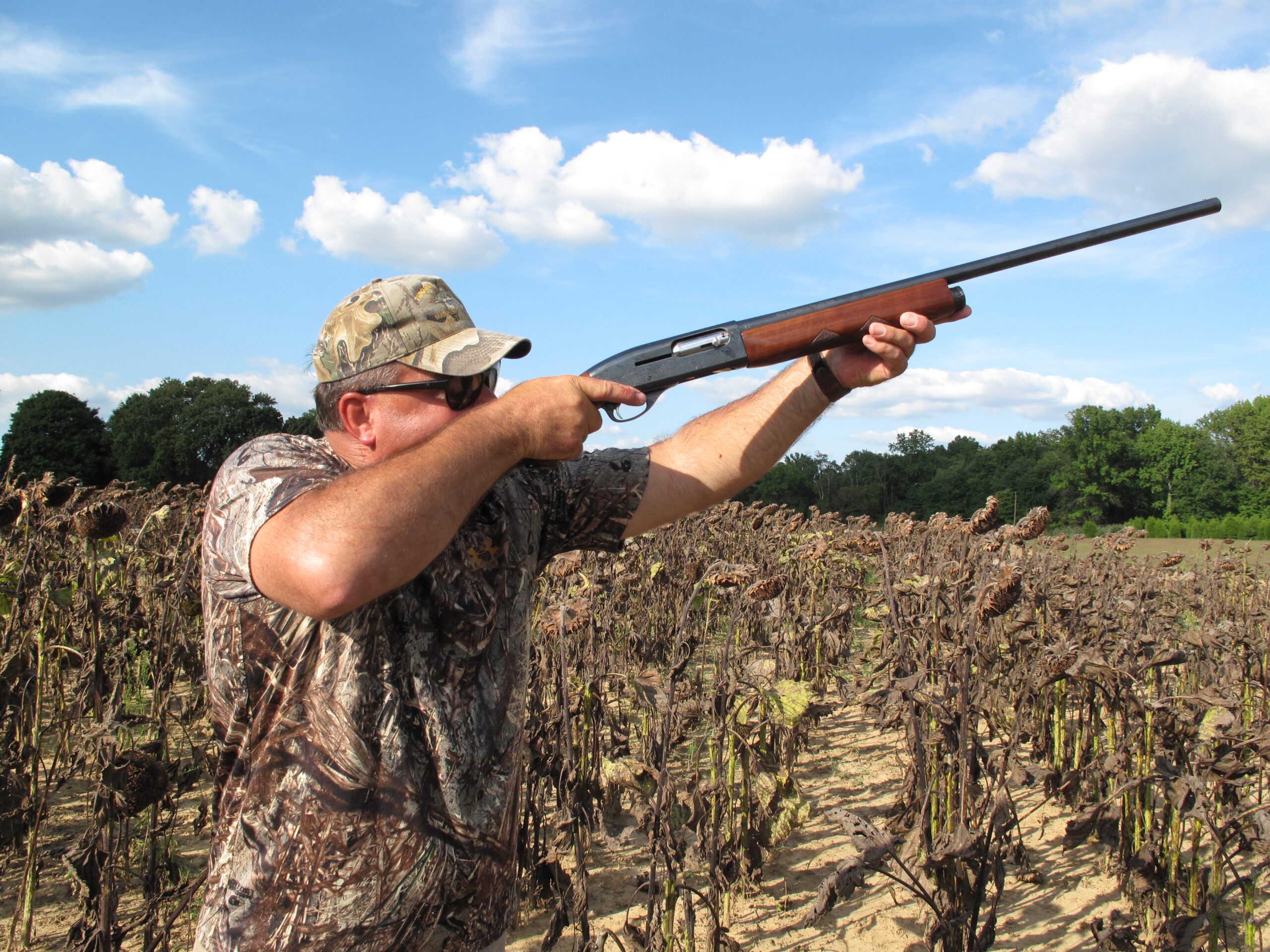 early dove season