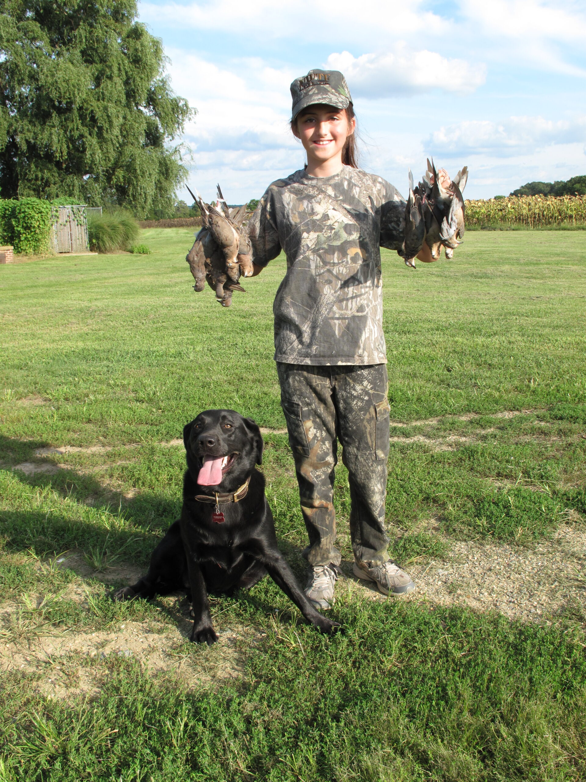 early dove season