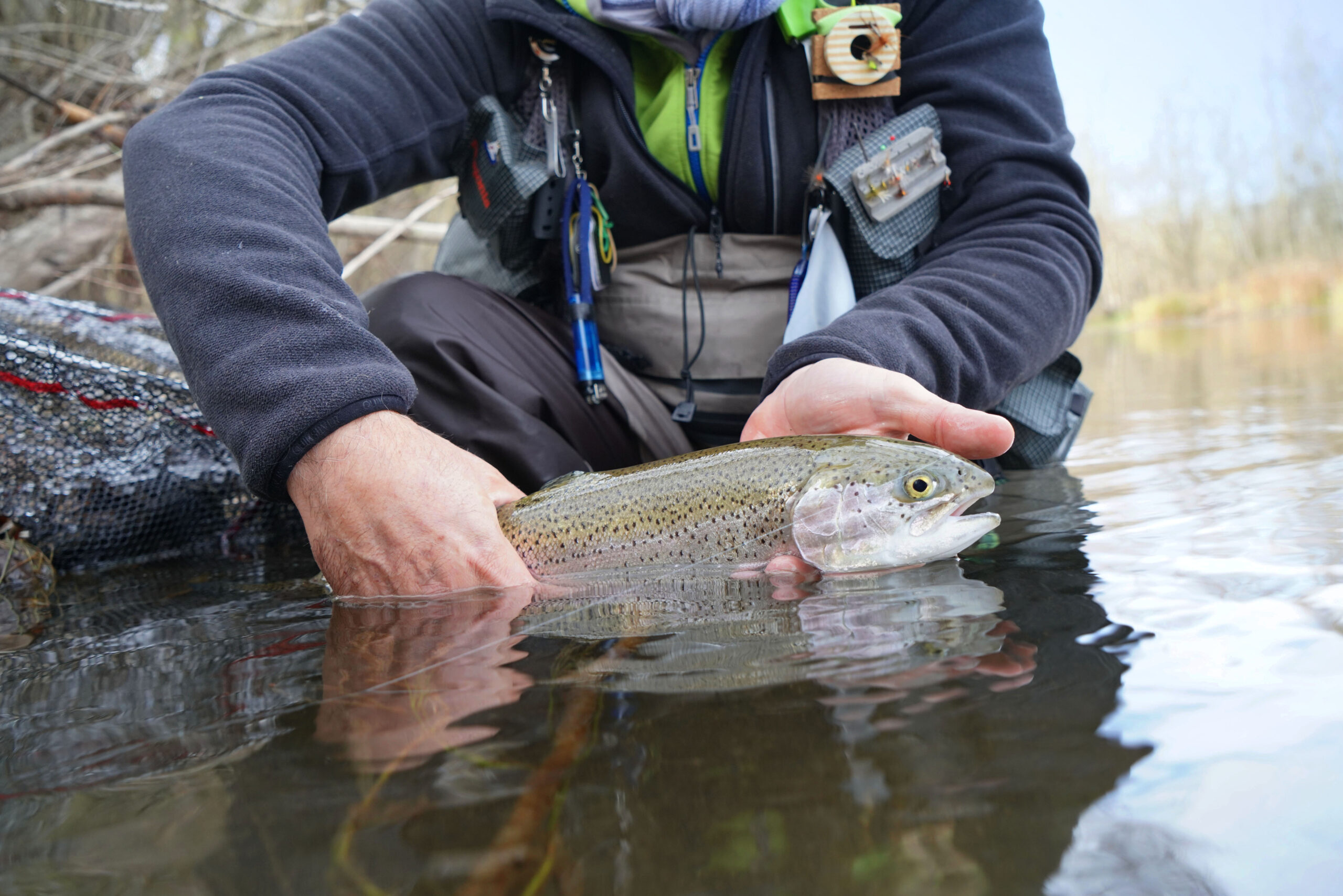 winter trout fishing