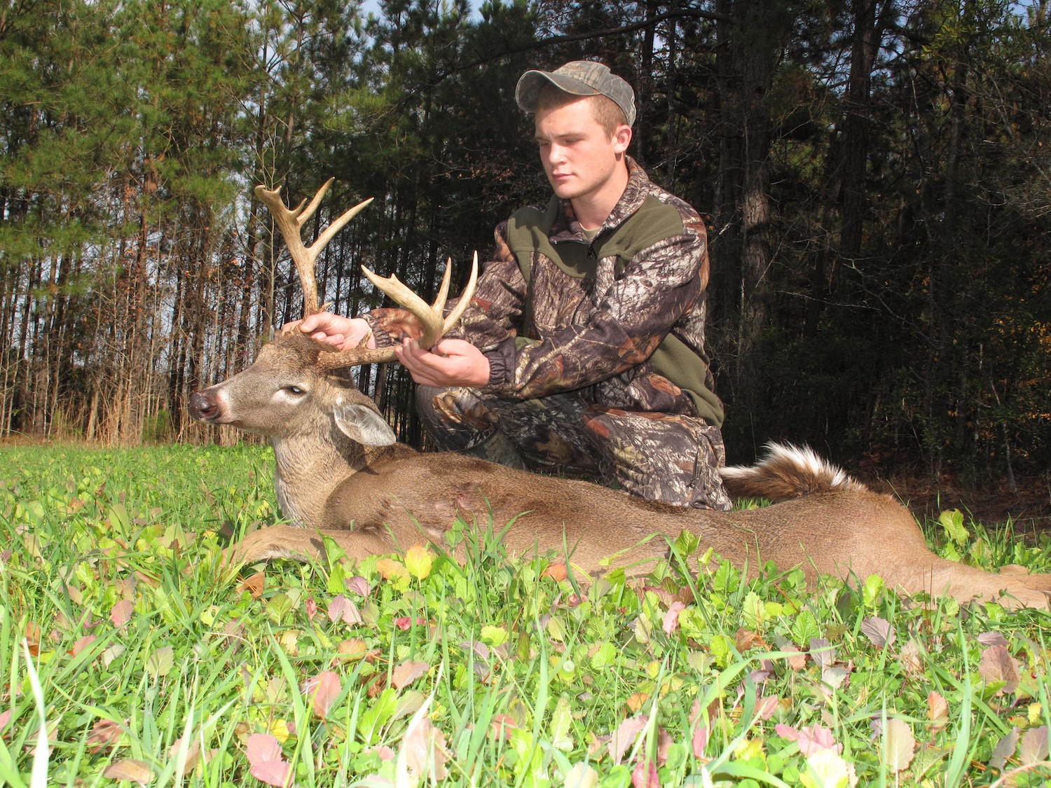 tree stands The Best Time to Start Deer Hunting