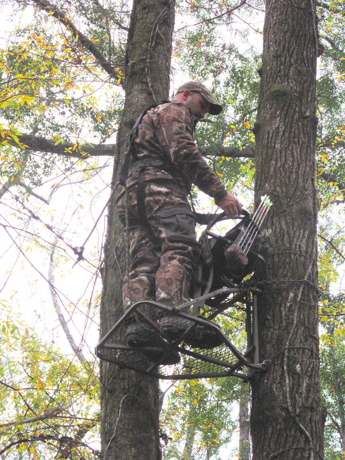 tree stands