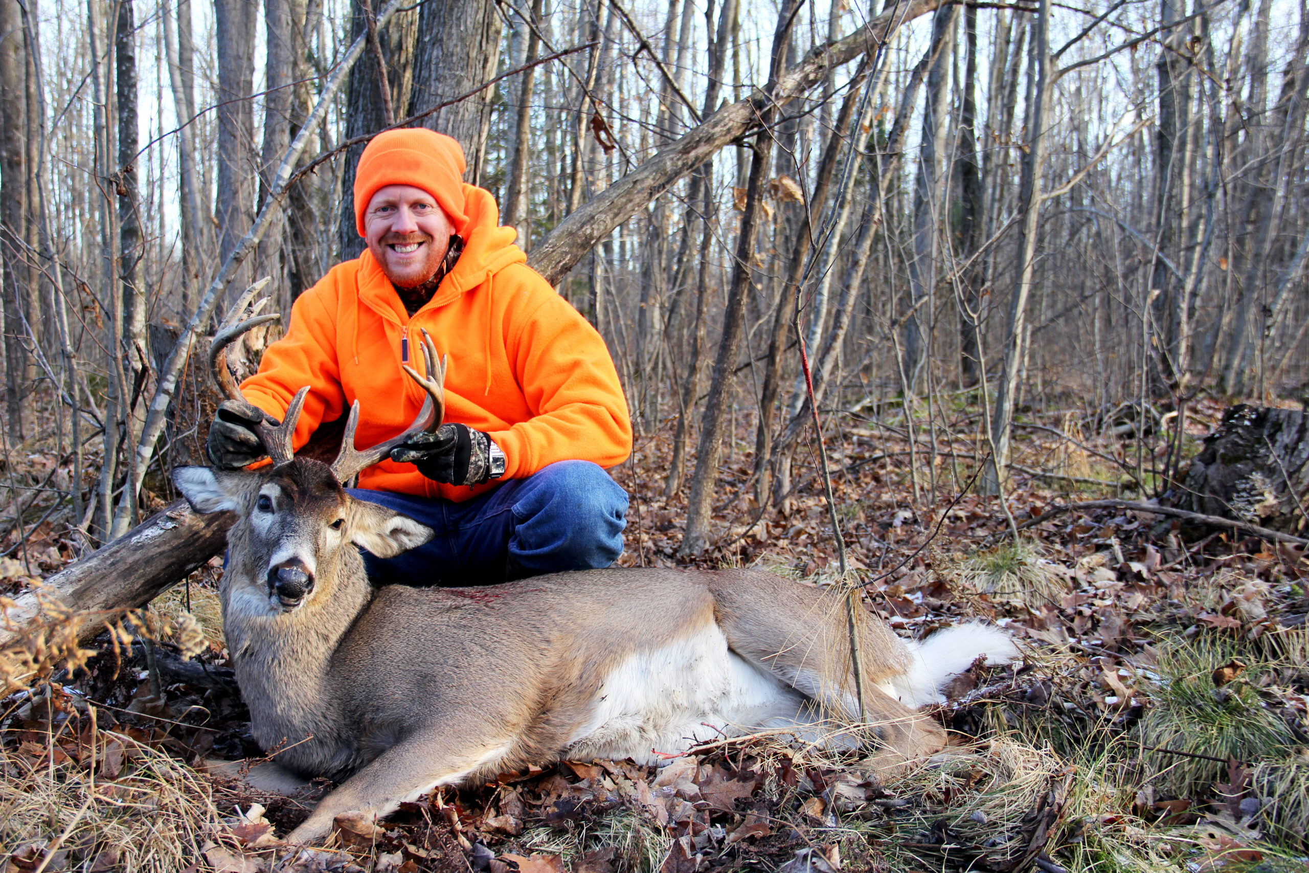 Fill Your Freezer: How Much Deer Meat Can You Get?