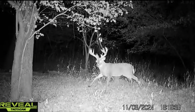 Hunter Bags Massive 20-Point Buck After Three-Year Pursuit