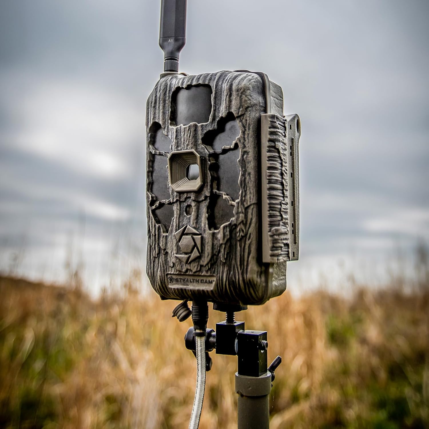 trail camera with cellular 