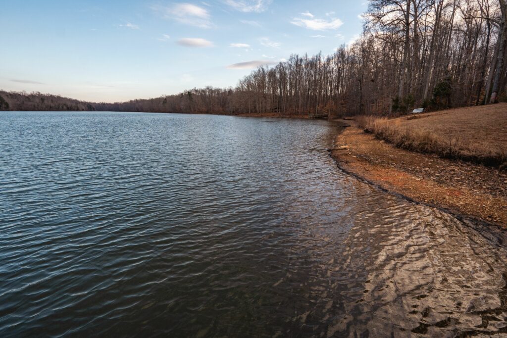Winter Duck Hunting Season NC: Everything You Need to Know | iSportsman USA