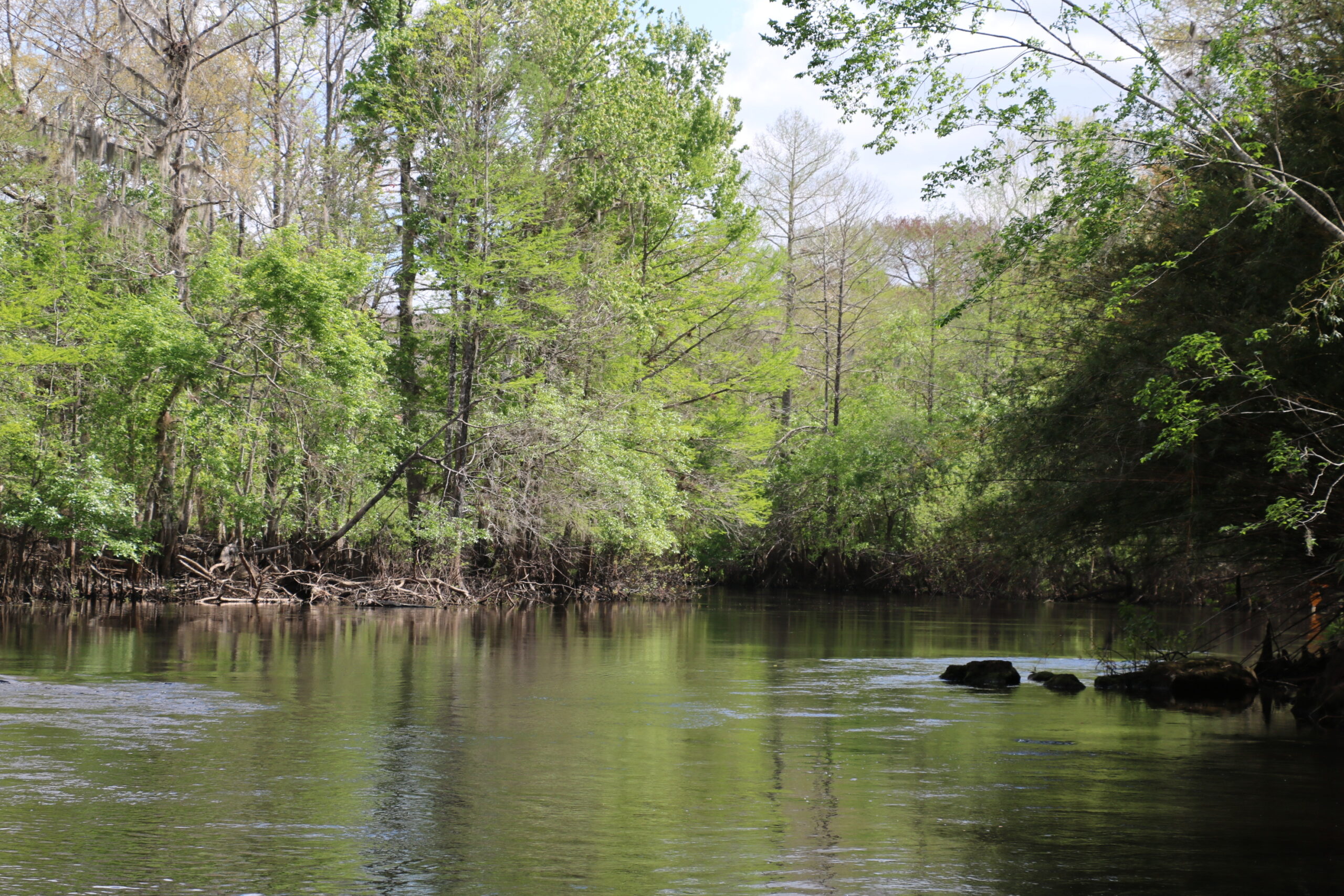 Florida Withlacoochee River