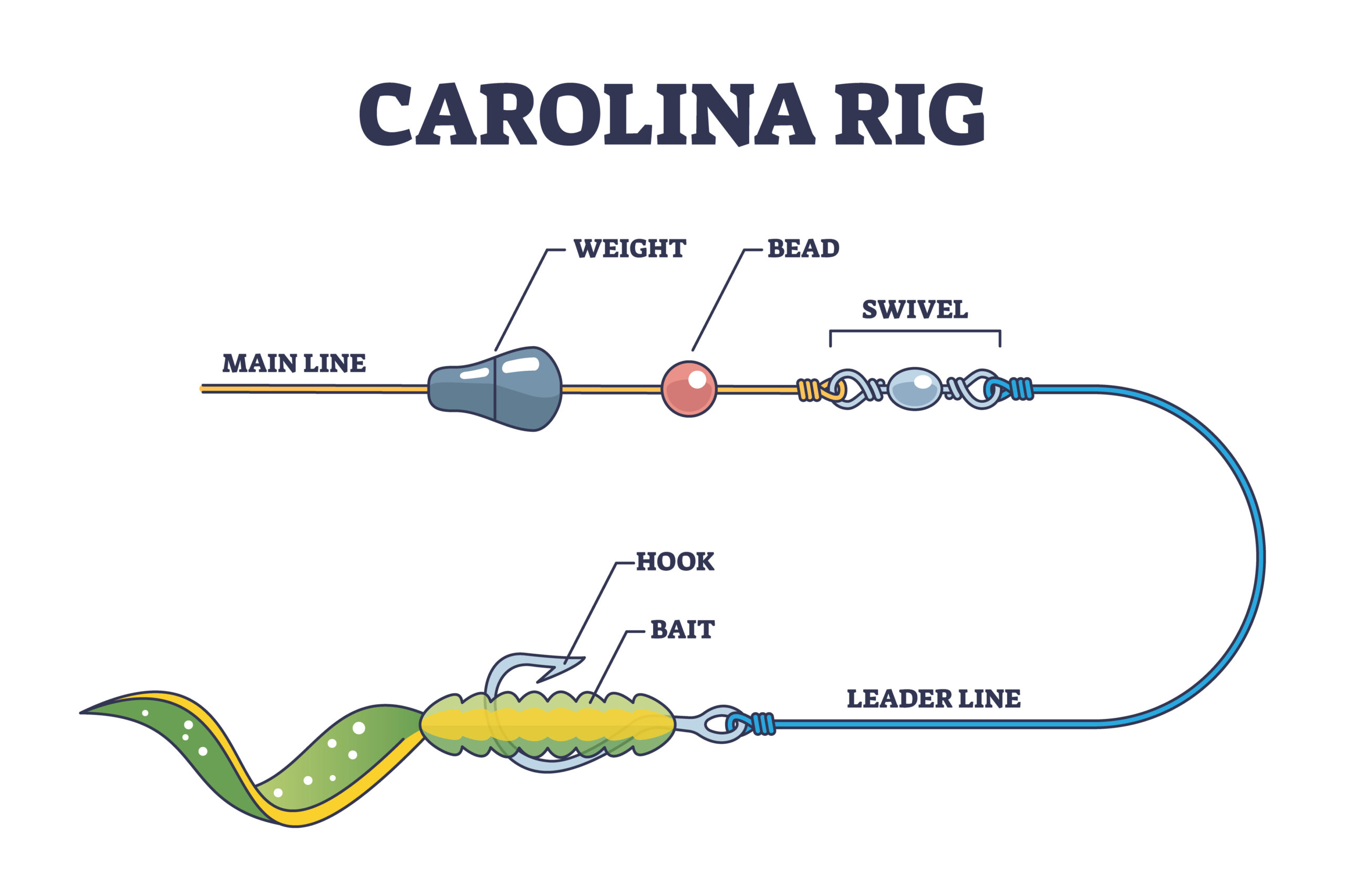 Carolina rig